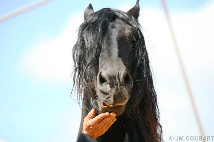 Vous avez atteint la dernire diapositive